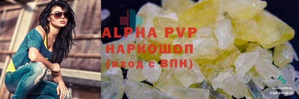 PSILOCYBIN Балахна