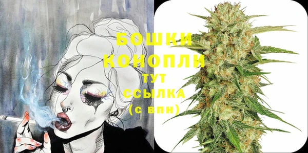 PSILOCYBIN Балахна