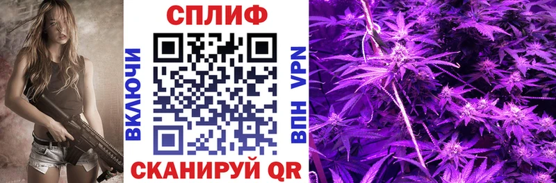Шишки марихуана OG Kush Краснокамск
