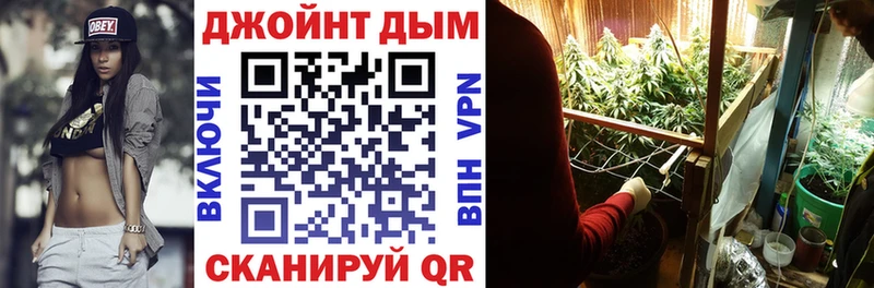 Конопля семена  Купить где  Краснокамск 